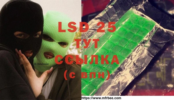 спиды Каменск-Шахтинский