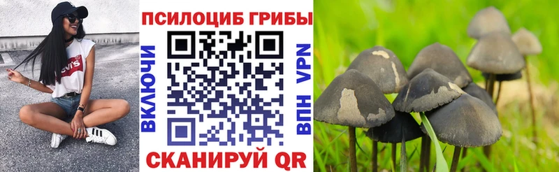 Галлюциногенные грибы Cubensis  Купить  Майкоп 